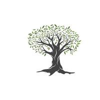 olivträd vektor illustration