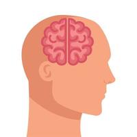 Schattenbild des menschlichen Profils mit Gehirn, auf weißem Hintergrund vektor