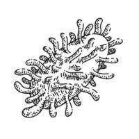 Bakterienvirus Skizze handgezeichneter Vektor