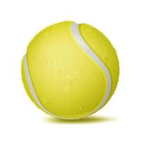 Tennisball-Vektor. Sportspiel, Fitnesssymbol. Illustration vektor