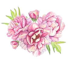 handgezeichneter blumenstrauß aus rosa pfingstrosen, aquarellillustration vektor