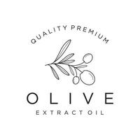 botanisk logotyp mall hand dragen naturlig oliv blad och frukt .ört, oliv olja, kosmetika eller skönhet. vektor