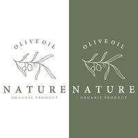 botanische logo-vorlage handgezeichnetes natürliches olivenblatt und obst. kräuter, olivenöl, kosmetik oder schönheit. vektor
