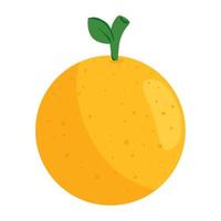 Orange frische und gesunde Früchte, in weißem Hintergrund vektor