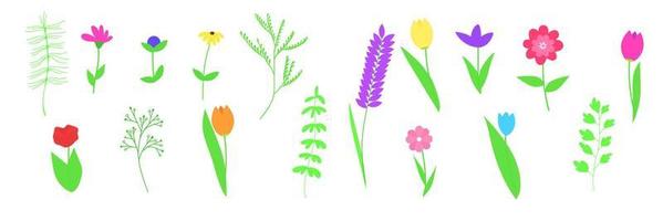 Set aus Frühlingsblumen und Blättern für jede Komposition für Sommer- oder Frühlingsbanner. Vektorillustration. vektor