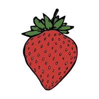 vektor jordgubbe clipart. handritad bärikon. frukt illustration. för tryck, webb, design, inredning