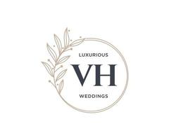 vh Initialen Brief Hochzeit Monogramm Logos Vorlage, handgezeichnete moderne minimalistische und florale Vorlagen für Einladungskarten, Datum speichern, elegante Identität. vektor