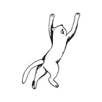 söt hand dragen katt i Hoppar rörelse på vit bakgrund. vektor förtjusande djur i trendig scandinavian stil. rolig, söt, hygge illustration för affisch, baner, skriva ut, dekoration barn lekrum.