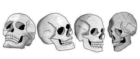 handgezeichnete anatomische schädelvektorsätze. Sammlung von Zeichnungsskelett menschlicher Schädel Konturschattierung isoliert auf weißem Hintergrund. designillustration für druck, dekoration, aufkleber, stoff, tätowierung. vektor