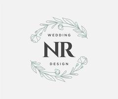 nr initialen brief hochzeitsmonogramm logos sammlung, handgezeichnete moderne minimalistische und florale vorlagen für einladungskarten, save the date, elegante identität für restaurant, boutique, café im vektor