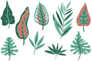 Kostenlose tropische Blätter Vektoren
