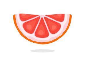 halbe Grapefruitscheiben vektor