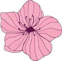 hand dragen rosa blomma på vit bakgrund. botanisk element. vektor illustration