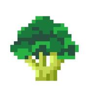 pixel broccoli grönsak, grönsaker pixelated konst vektor