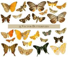 25 fjärilar för vintage akvarellfjärilar vektor