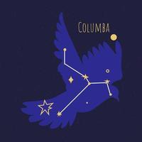 konstellation av columba, stjärna bildning av fågel vektor