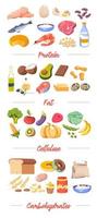 mat förbi typ, proteiner och fett, cellulosa vektor