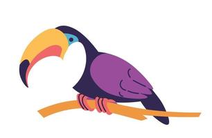 tropische Tiere und Vögel, Tukan auf Zweigen vektor