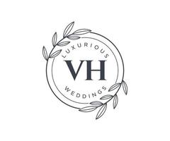 vh Initialen Brief Hochzeit Monogramm Logos Vorlage, handgezeichnete moderne minimalistische und florale Vorlagen für Einladungskarten, Datum speichern, elegante Identität. vektor