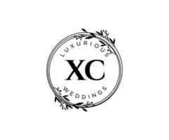 xc Initialen Brief Hochzeit Monogramm Logos Vorlage, handgezeichnete moderne minimalistische und florale Vorlagen für Einladungskarten, Datum speichern, elegante Identität. vektor