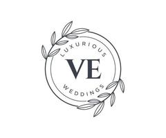 ve Initialen Brief Hochzeit Monogramm Logos Vorlage, handgezeichnete moderne minimalistische und florale Vorlagen für Einladungskarten, Datum speichern, elegante Identität. vektor