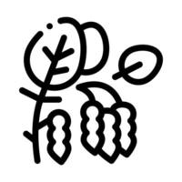 Sojabohnen Pflanze Symbol Vektor Umriss Illustration