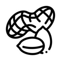 jordnöt nötter ikon vektor översikt illustration
