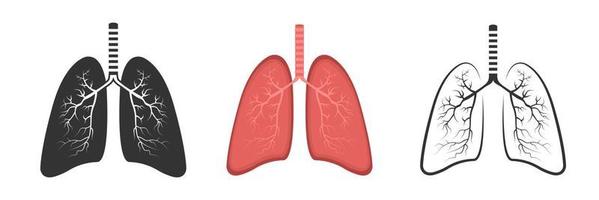realistisk lunga anatomi. lunga ikon uppsättning. respiratorisk systemet friska lunga platt medicinsk organ. isolerat vektor illustration.