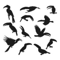 uppsättning av hornbill fågel djur- silhuetter olika stilar vektor