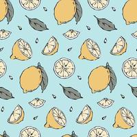sommar citrus- frukt sömlös mönster med citron, skivor, löv, frön hand dragen blek gul frukt bitar på mynta bakgrund vektor