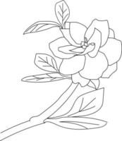 Blumen-Drainage-Vektorillustration von handgezeichneter Gardenie, Jasmin-Illustration künstlerisch, Einfachheits-Farbseite einzeln auf weißem Hintergrund vektor