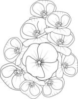 vallmo blommor färg bok för barn hand dragen växter blomma natur bläck gravyr, svartvit ritad för hand vektor blommig mönster, skiss illustration med blommor.