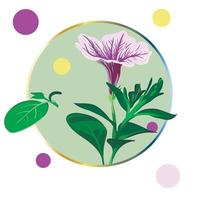 Lila Petunienblume, eingerahmt in einem grünen Kreis auf weißem Hintergrund mit bunten Tupfen. grüne Blätter, Knospen, lila und rosa Blüten. realistische vektorillustration. Jahrgang. vektor