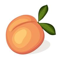 saftig persika isolerat på vit bakgrund. vektor illustration