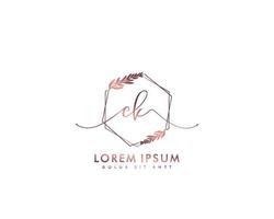 initiales ck feminines logo schönheitsmonogramm und elegantes logodesign, handschriftlogo der ersten unterschrift, hochzeit, mode, floral und botanisch mit kreativer vorlage vektor