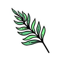 grön ormbunke gren vektor ikon. enkel klotter av en sommar kvist med löv. hand dragen illustration isolerat på vit. en vild skog växt, medicinsk ört. platt tecknad serie ClipArt för kort, affischer, webb