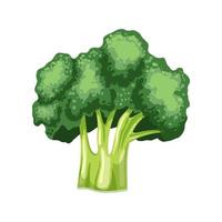 broccoli färsk tecknad serie vektor illustration