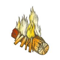 traditionell brinnande trä- pinne Färg vektor