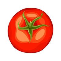 tomat mat tecknad serie vektor illustration