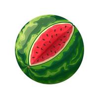 Wassermelone geschnittene Cartoon-Vektor-Illustration vektor