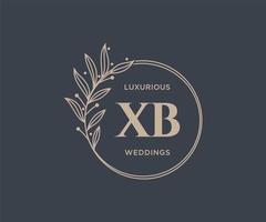 xb initialer brev bröllop monogram logotyper mall, hand dragen modern minimalistisk och blommig mallar för inbjudan kort, spara de datum, elegant identitet. vektor