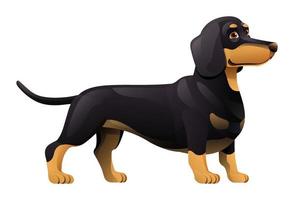 dackel hund vektor cartoon illustration