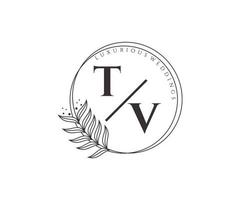 tv initialen brief hochzeit monogramm logos vorlage, handgezeichnete moderne minimalistische und florale vorlagen für einladungskarten, datum speichern, elegante identität. vektor