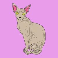 Farbpostkartenkatze, Sphynx auf hellviolettem Hintergrund vektor