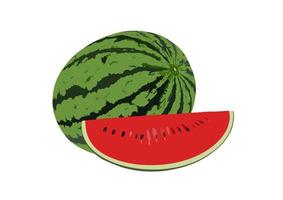 Wassermelone mit Scheibe isoliert auf weißem Hintergrund, Illustration. vektor