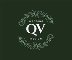 qv initialer brev bröllop monogram logotyper samling, hand dragen modern minimalistisk och blommig mallar för inbjudan kort, spara de datum, elegant identitet för restaurang, boutique, Kafé i vektor