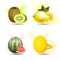 Set aus Beeren und Früchten, Kiwi, Zitrone, Wassermelone und Melone. vektor