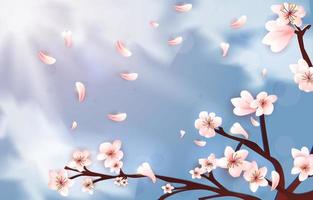 pfirsichblüte sakura hintergrund vektor