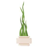 Sansevieria Zimmerpflanze isoliert auf weißem Hintergrund. Schlangenpflanze im Topf. vektor