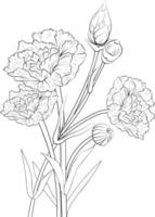 nejlika blomma penna konst, svart och vit översikt vektor färg sida och bok för vuxna och barn blommor kryddnejlika-rosa, med löv hand dragen graverat bläck illustration konstnärlig design.